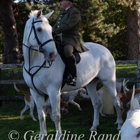 National Trail Hunt Day 2026