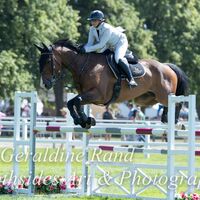 Grade C Hoys Q