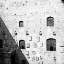 Florence #5