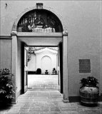 Florence #6