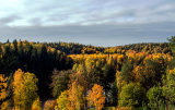 Nuuksio