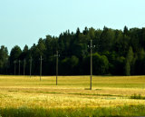 Powerline
