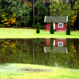 Reflections
