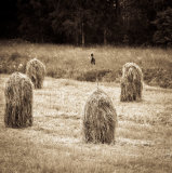 Hay poles