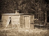 Abandoned gypsy wagon