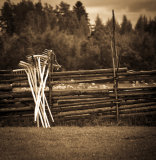 wooden rakes