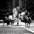 Mounted Police