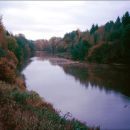 Vantaa river in autumn