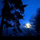 Moonlight at cemetery