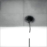 Alone #2