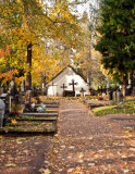 Crosses