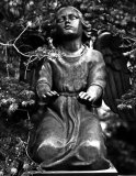 Cemetery angel #3