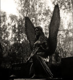 Cemetery angel #4