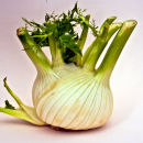 fennel