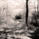 Light and Shadow