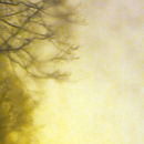 Untitled #3