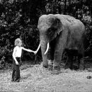Boy with circus elephant