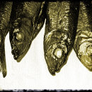 smoked herrings