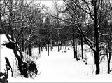 Taivaskallio park in Winter