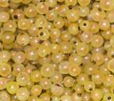 White currants