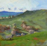 'Sheep at Eggardon'