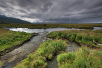 Anchorage Wildlife Refuge