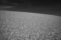 Chesil Beach