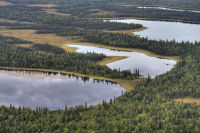 Denali National Park