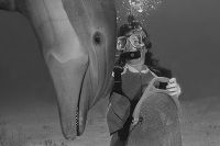 Dolphin & diver, Bahamas