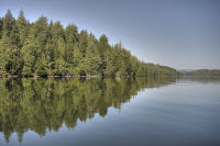 Meares Island excursion