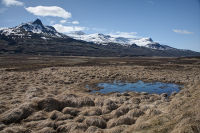 Route 1 south towards Egilsstadir