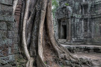 Ta Prohm