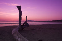 Pacific Coast, Vancouver Island