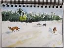 Beach dogs