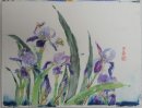 Bees and irises