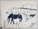 Equine afternoon