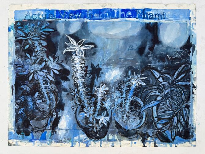 The view from The Miami