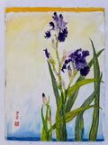 Irises