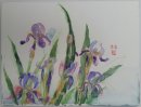 Snail and irises