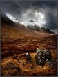Storm Brewing