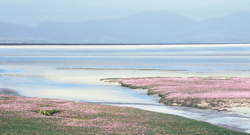 Northton Bay