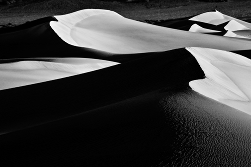 Dune Shapes No 2