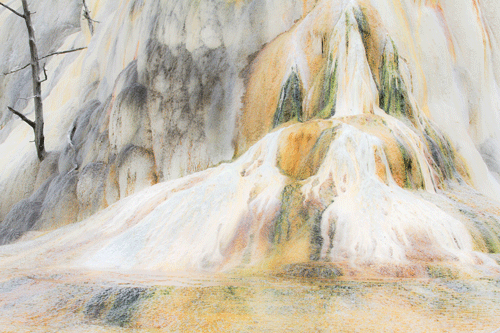 Orange Spring Mound No 1