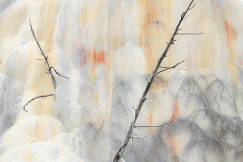Orange Spring Mound No 2