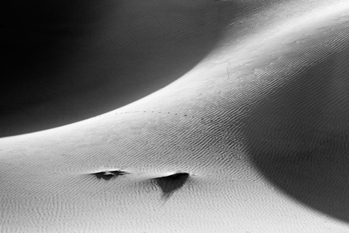 Textures, Mesquite Dunes No 1