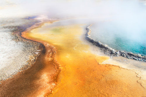 Thermal Runoff, Yellowstone