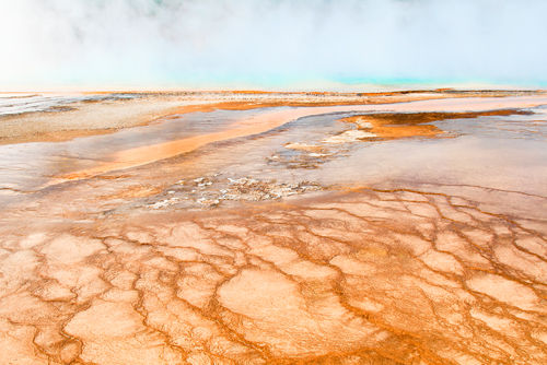 Thermal Run Off, Grand Prismatic Spring