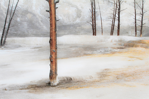 Travertine Terrace