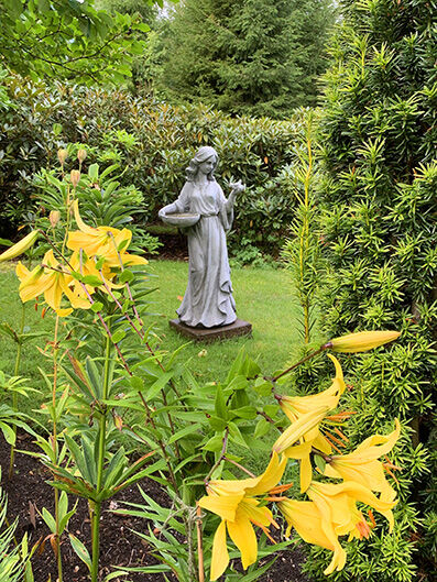 Bird bath in the green
