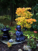 Autumn colors with Buddaboy